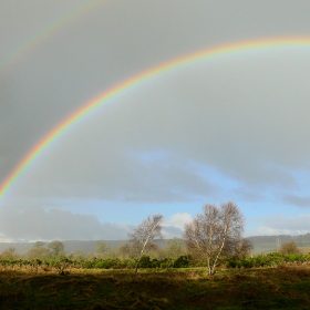 Rainbow At Ryton Willlows